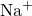 Rendered by QuickLaTeX.com {\text{Na}}^{+}