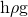 Rendered by QuickLaTeX.com \mathrm{h\rho g}