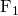 Rendered by QuickLaTeX.com {\mathbf{\text{F}}}_{1}
