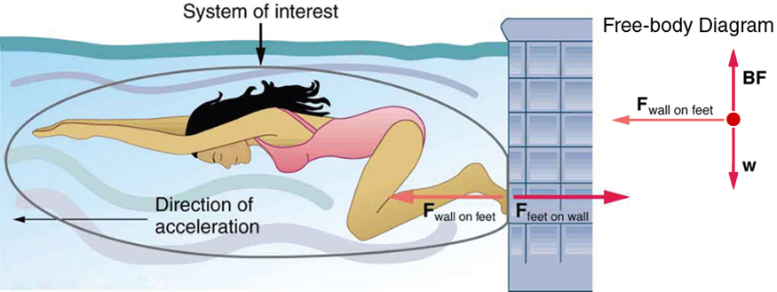 physics in swimming This really confuses me, help explain the average human has a density of 945 kg/m^3 after inhalation, and 1020 kg/m^3 after exhalation fresh water has a density of 1000 kg/3, sea water a density of about 1025 kg/m^3, and the dead sea (which is actually a lake), a density of about 1230 kg/3. physics in swimming This really confuses me, help explain the average human has a density of 945 kg/m^3 after inhalation, and 1020 kg/m^3 after exhalation fresh water has a density of 1000 kg/3, sea water a density of about 1025 kg/m^3, and the dead sea (which is actually a lake), a density of about 1230 kg/3.