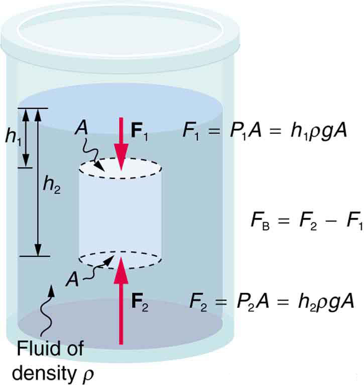 Image result for archimedes principle derivation