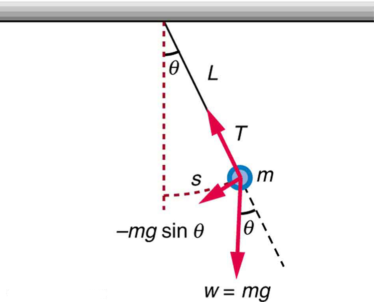 The Simple Pendulum College Physics