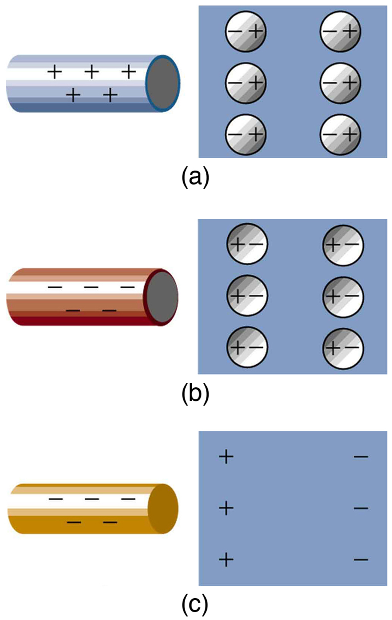 Worksheets Conductors And Insulators Worksheet conductors and insulators college physics microscopic views of objects are shown a positive rod with signs is close to
