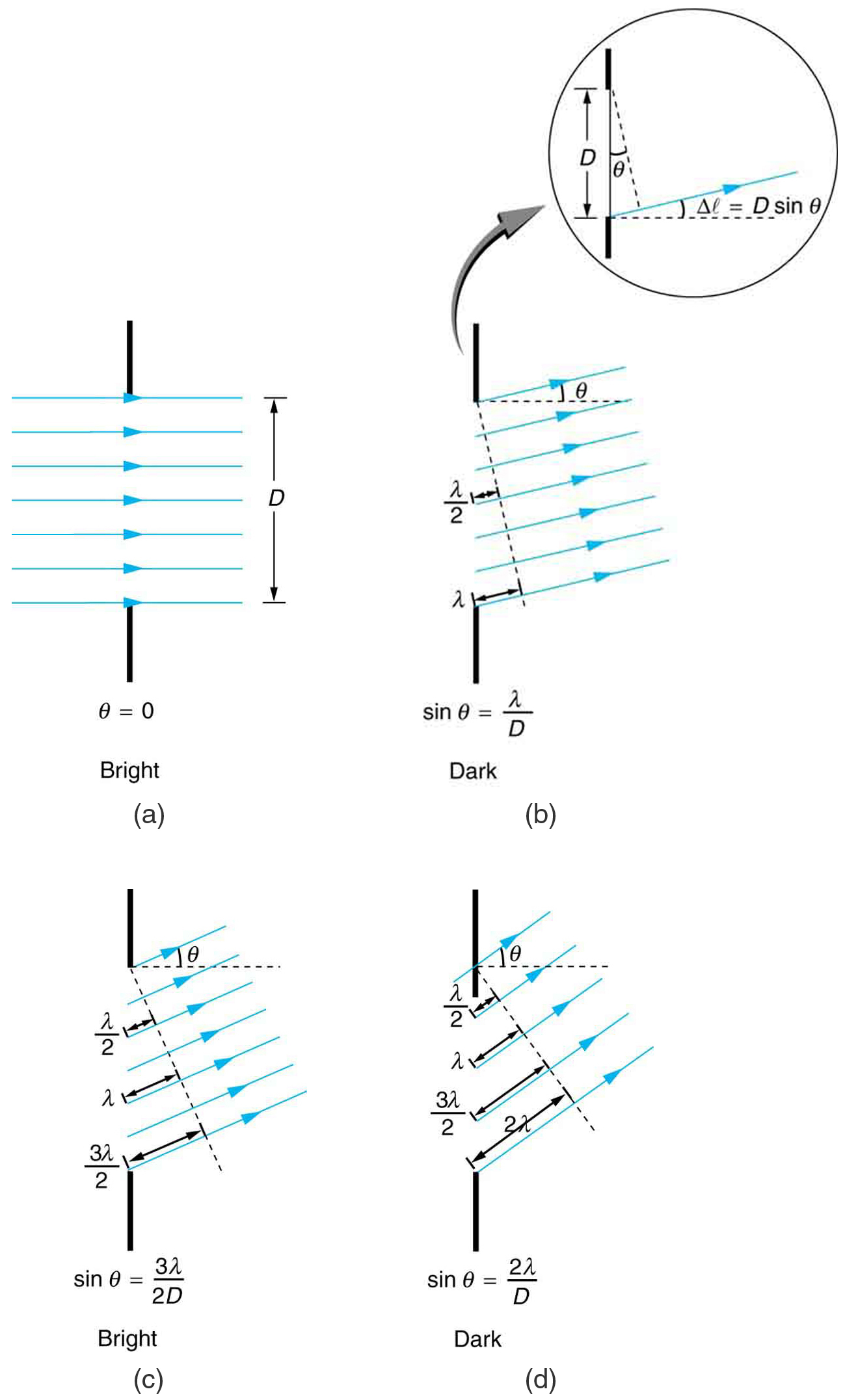 Single Slit Diffraction College Physics - 