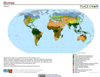 Native Plants – Red Seal Landscape Horticulturist Identify Plants and ...