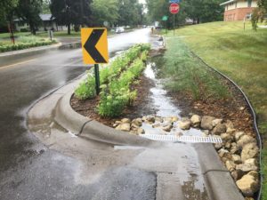 Figure 9.3 Example of a vegetated bioswale