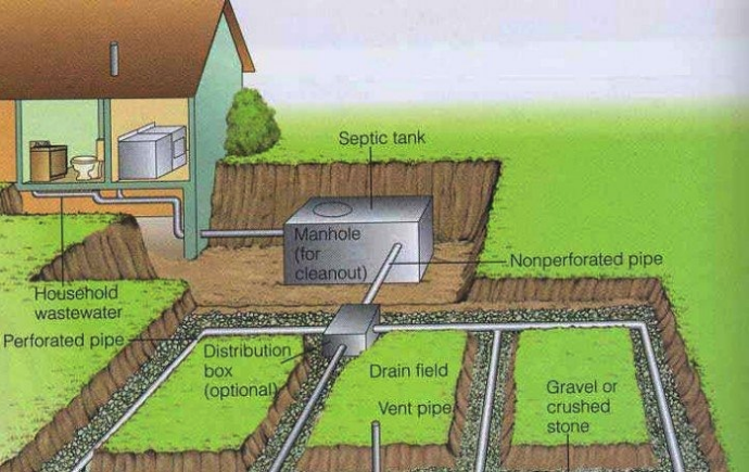 A labelled diagram of a trickling disposal field. Household wastewater exits the house and flows into the septic tank. The septic tank has a manhole for cleanout. A non-perforated pipe leads from the septic tank to the distribution box (optional). Four perforated pipes lead from the distribution box to the drain field. The pipes are spaced evenly from each other and lie in a bed of gravel or crushed stone. There is a vent pipe in one of the beds.