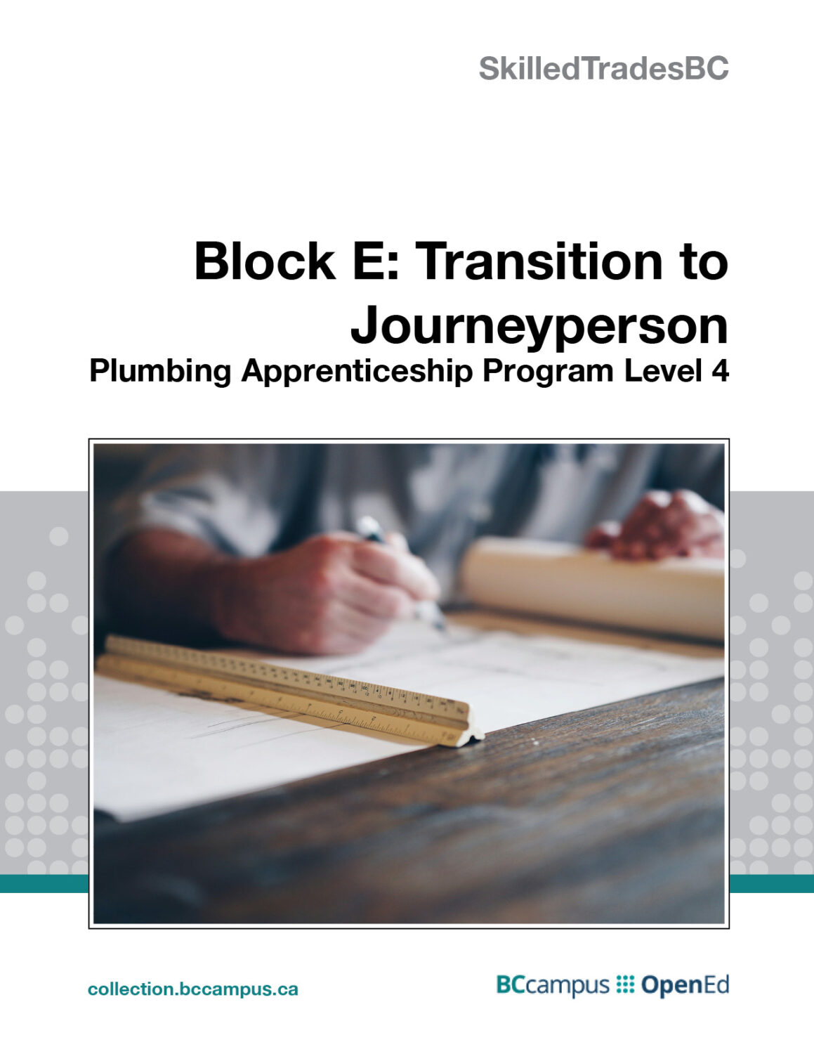 Cover image for Block E: Transition to Journeyperson