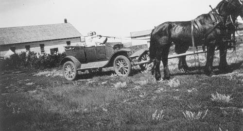 Two people sitting in a car hold the reins to a horse hitched to the vehicle.