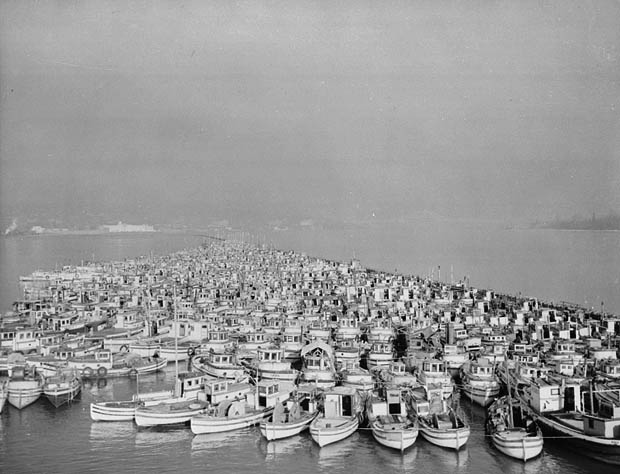 Hundreds of fishing boats are bunched together in a harbour.