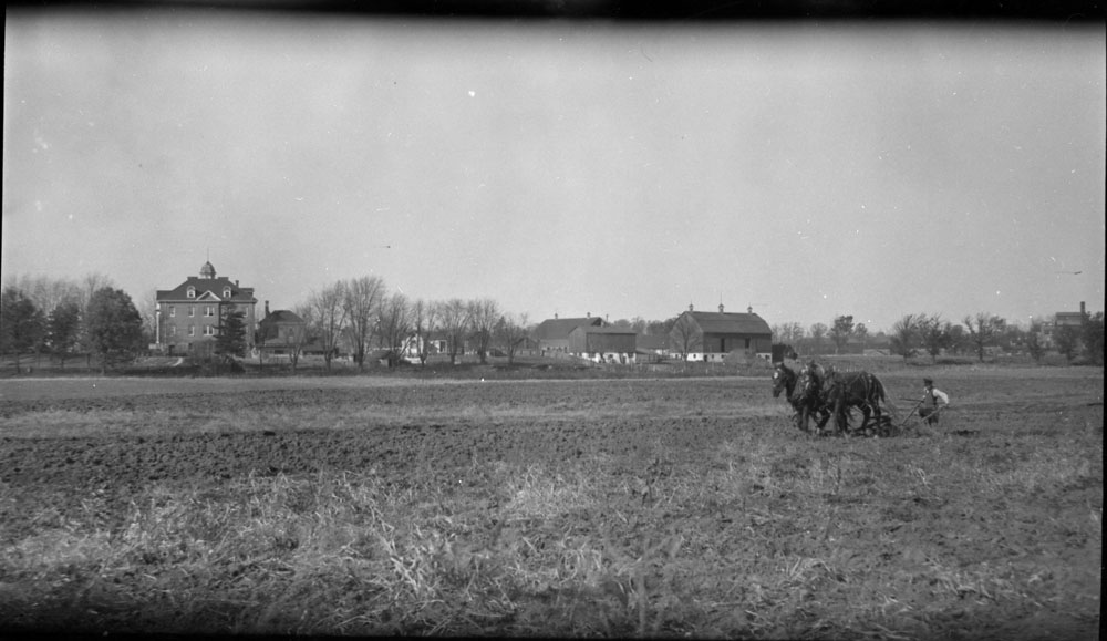 A man in the distance pushes a plough pulled by two horses.