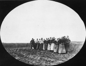 Doukhobor women pull a plough, breaking the prairie soil for the first time at Thunder Hill Colony, MB, ca. 1899. (Library and Archives Canada/C-000681) http://collectionscanada.gc.ca/pam_archives/index.php?fuseaction=genitem.displayItem&rec_nbr=3193404&lang=eng