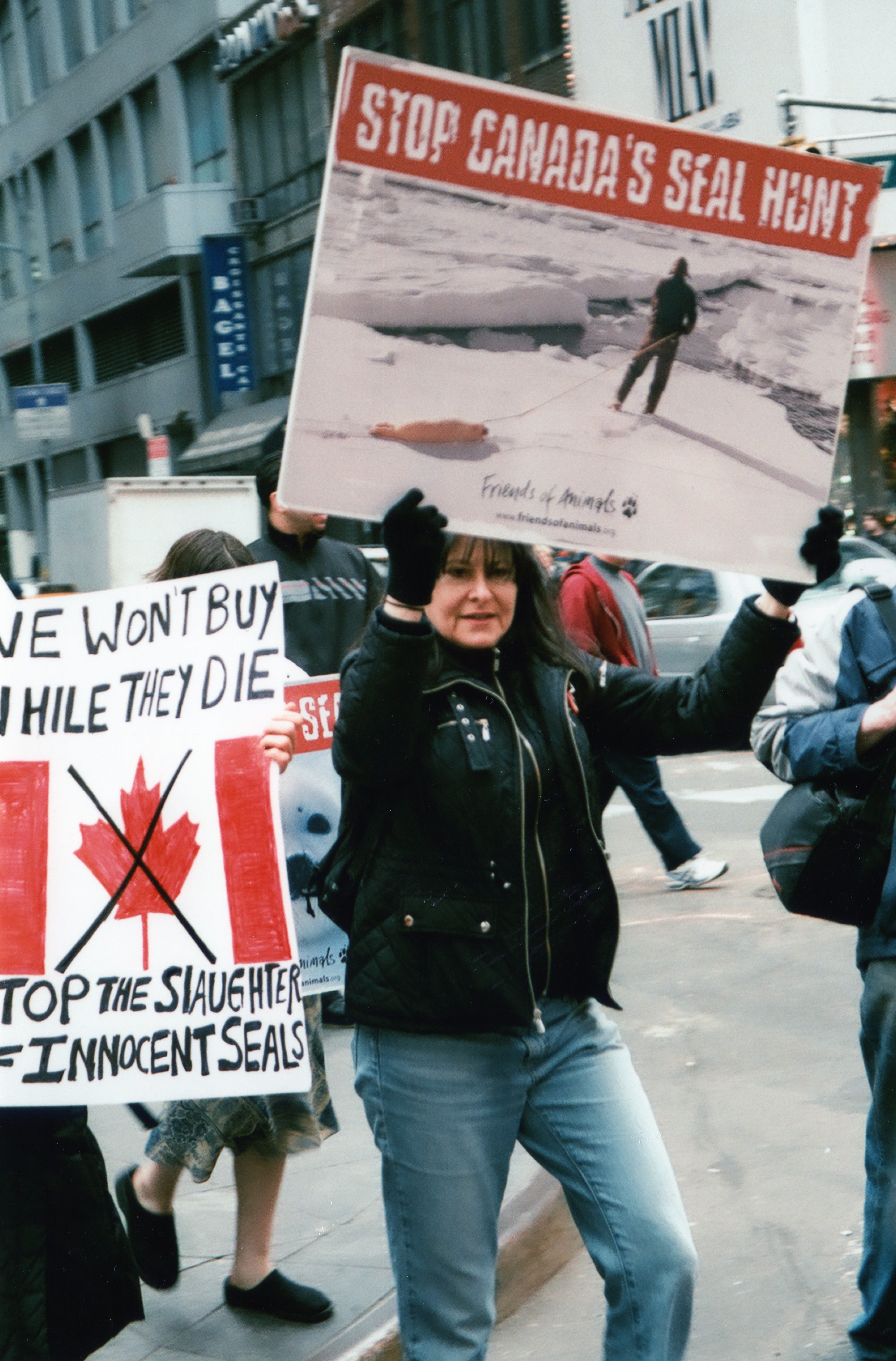 People march with signs protesting Canada's seal hunt.