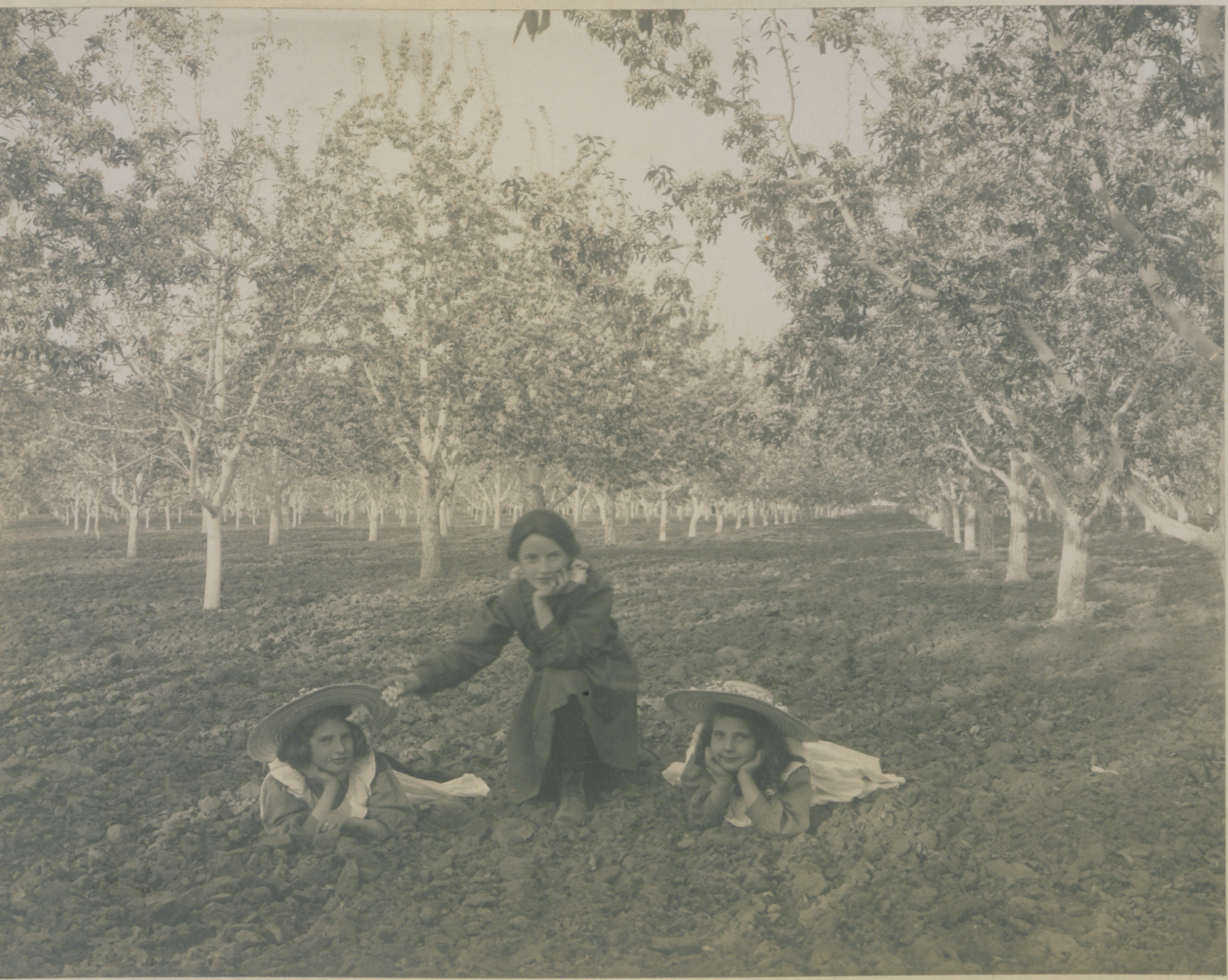 Two young girls lie on the ground in an orchard. A third girl kneels between them.