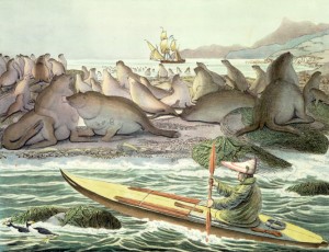 A person in a kayak paddles along a beach that is filled with seals.