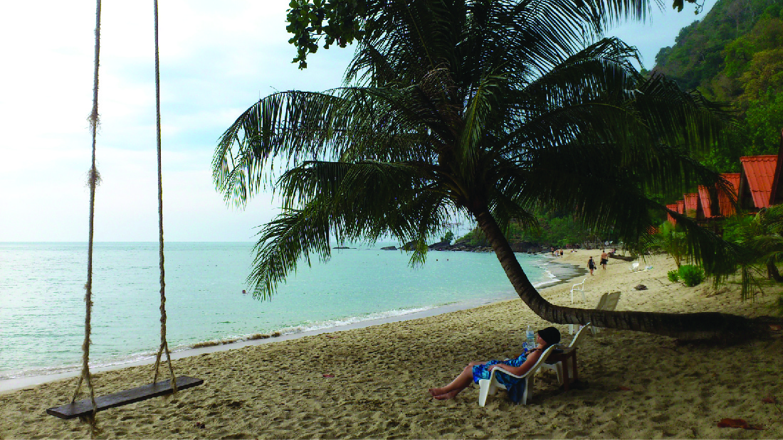 A photograph of a beach showing a person relaxing under a coconut tree next to a swing.