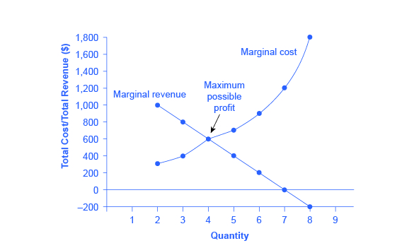 Negative effects of profit maximization