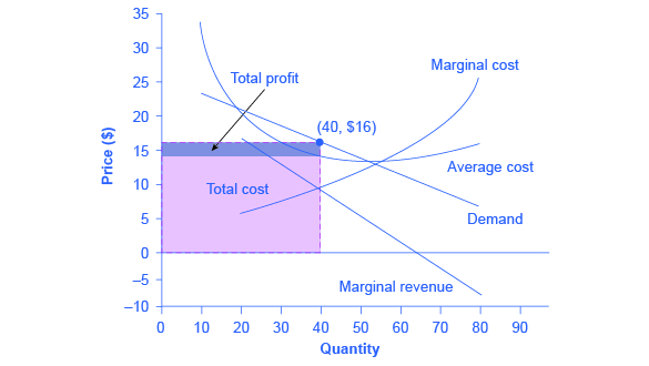 The graph shows that the point for profit maximizing output occurs where marginal revenue equals marginal cost. In addition, profit maximizing price is given by the height of the demand curve at the profit maximizing quantity.