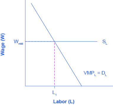 The Theory Of Labor Markets Principles Of Economics 2e - 