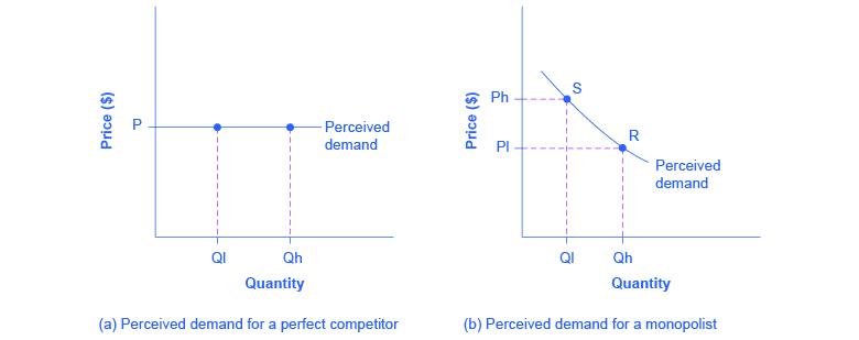 The left graph shows perceived demand for a perfect competitor as a straight, horizontal line. The right graph shows perceived demand for a monopolist as a downward-sloping curve.