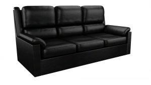 A black leather sofa.
