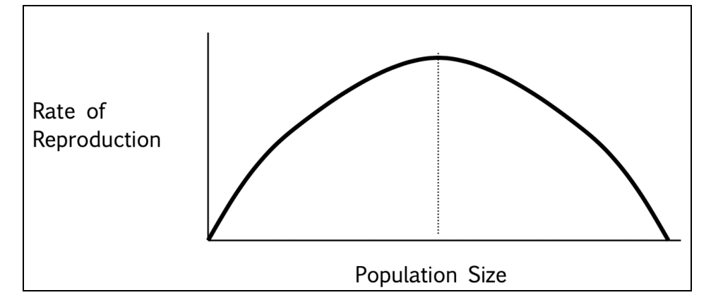 Reproduction accelerates until the population is no longer sustainable, so it starts to decrease.