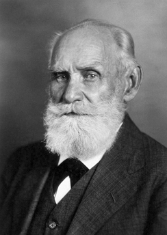 A portrait shows Ivan Pavlov