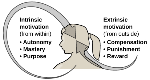 a person's upper body with two arrows: one pointing from the chest to the head, labelled "intrinsic motivation (from within),” highlighting autonomy, mastery, and purpose. The other arrow, starting outside and pointing to the head, represents "extrinsic motivation (from outside)”, with compensation, punishment, and reward as key elements.