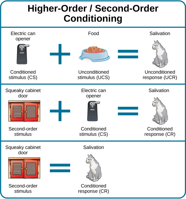 A diagram is labeled “Higher-Order / Second-Order Conditioning” and has three rows. The first row shows an electric can opener labeled “conditioned stimulus” followed by a plus sign and then a dish of food labeled “unconditioned stimulus,” followed by an equal sign and a picture of a salivating cat labeled “unconditioned response.” The second row shows a squeaky cabinet door labeled “second-order stimulus” followed by a plus sign and then an electric can opener labeled “conditioned stimulus,” followed by an equal sign and a picture of a salivating cat labeled “conditioned response.” The third row shows a squeaky cabinet door labeled “second-order stimulus” followed by an equal sign and a picture of a salivating cat labeled “conditioned response