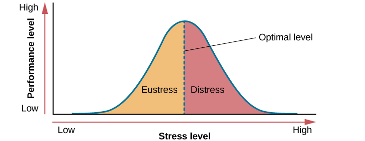 Stress and Health – Introduction to Psychology