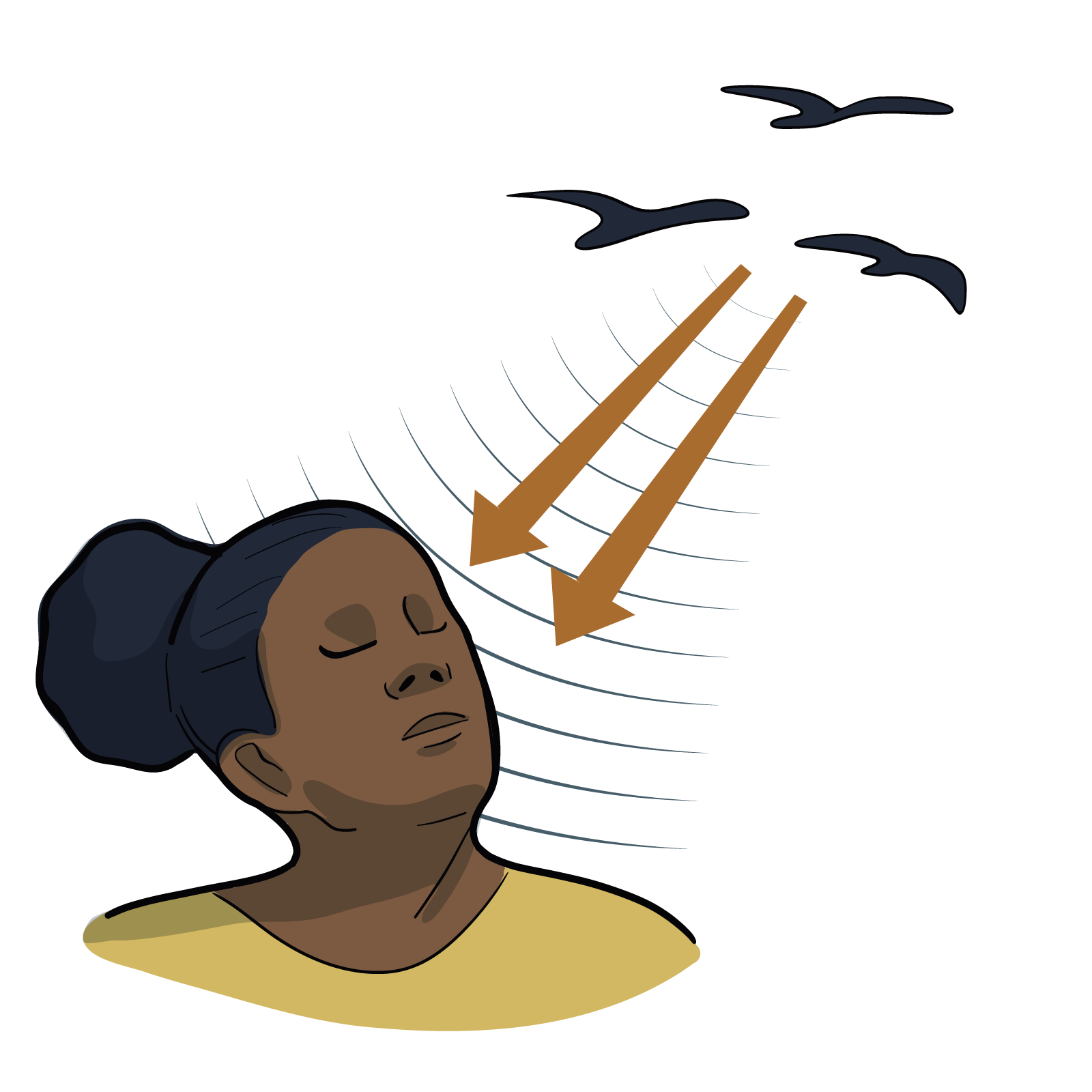 A woman is hearing birds flying above and to her right. Since the sound comes from an off-center location, it creates two types of binaural cues: interaural level differences and interaural timing differences. 