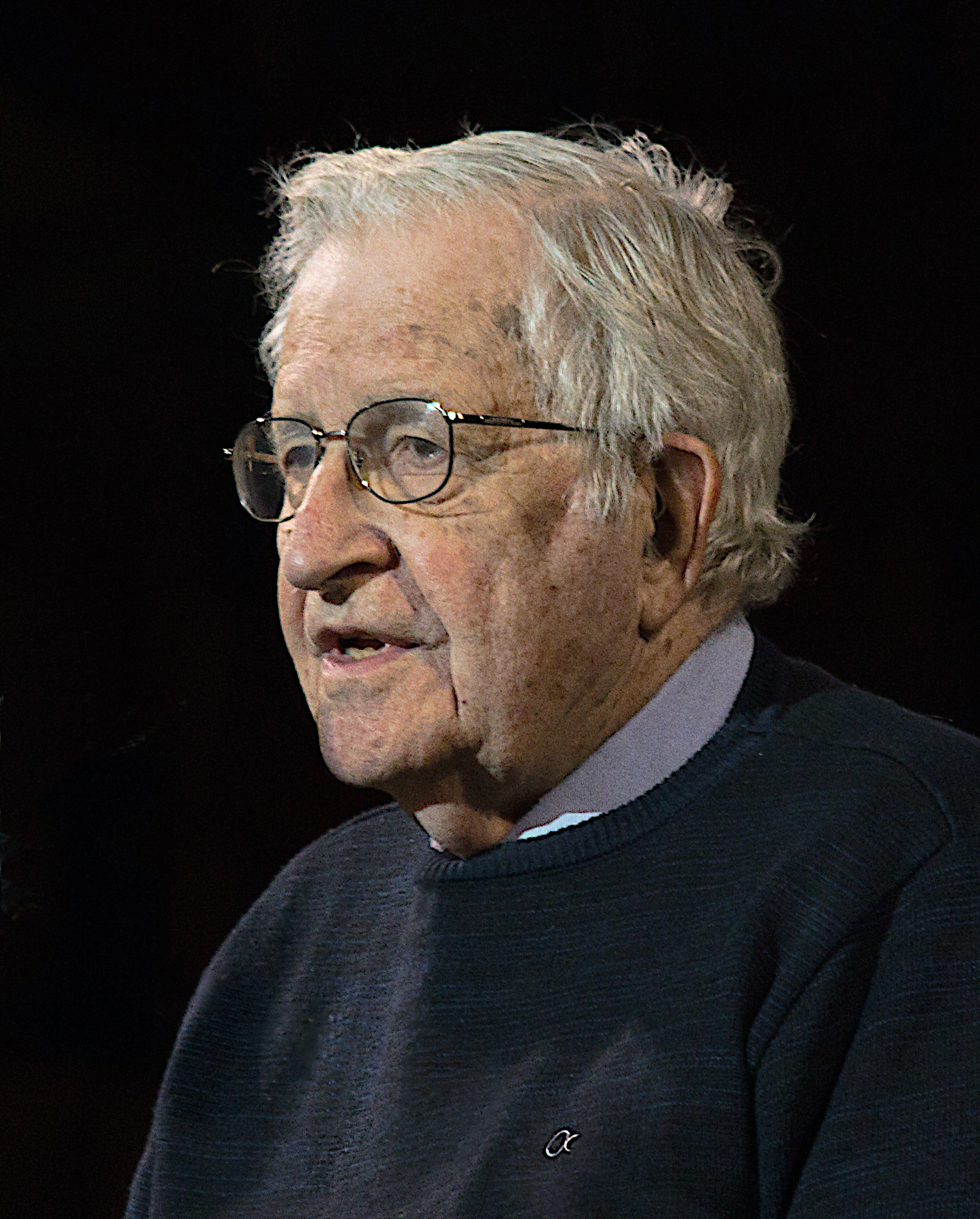 Noam Chomsky, an older man with wearing spectacles and a sweater. 