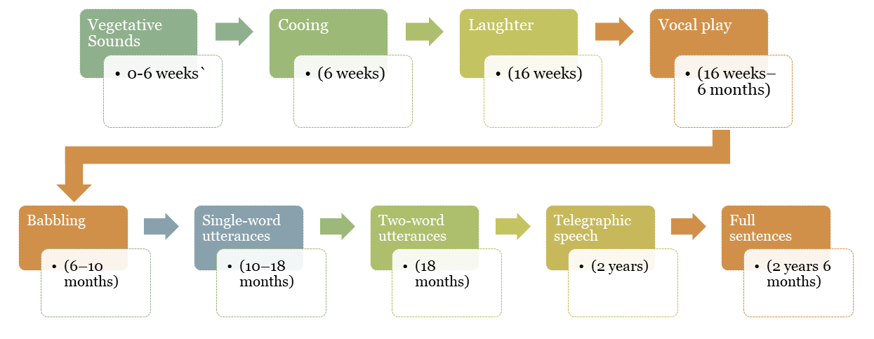 Stages Of Language Development Psychology