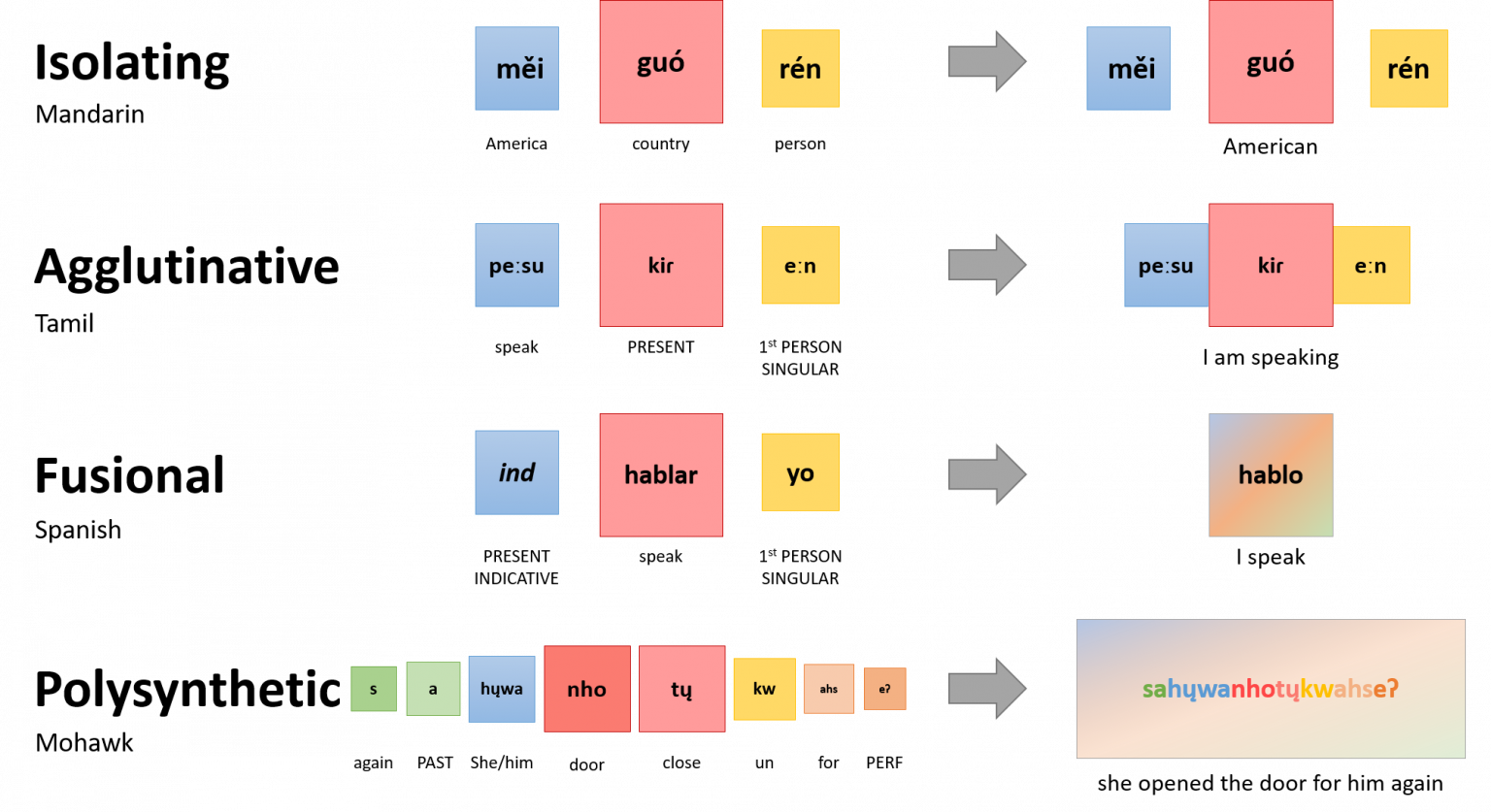 morphology-examples