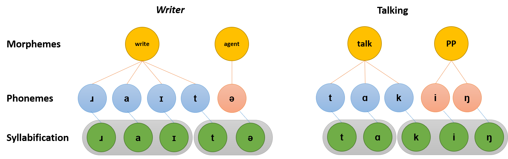 Illustrates how the words “writer” and “talking” can be divided into their morphemes, phonemes, and syllabifications.