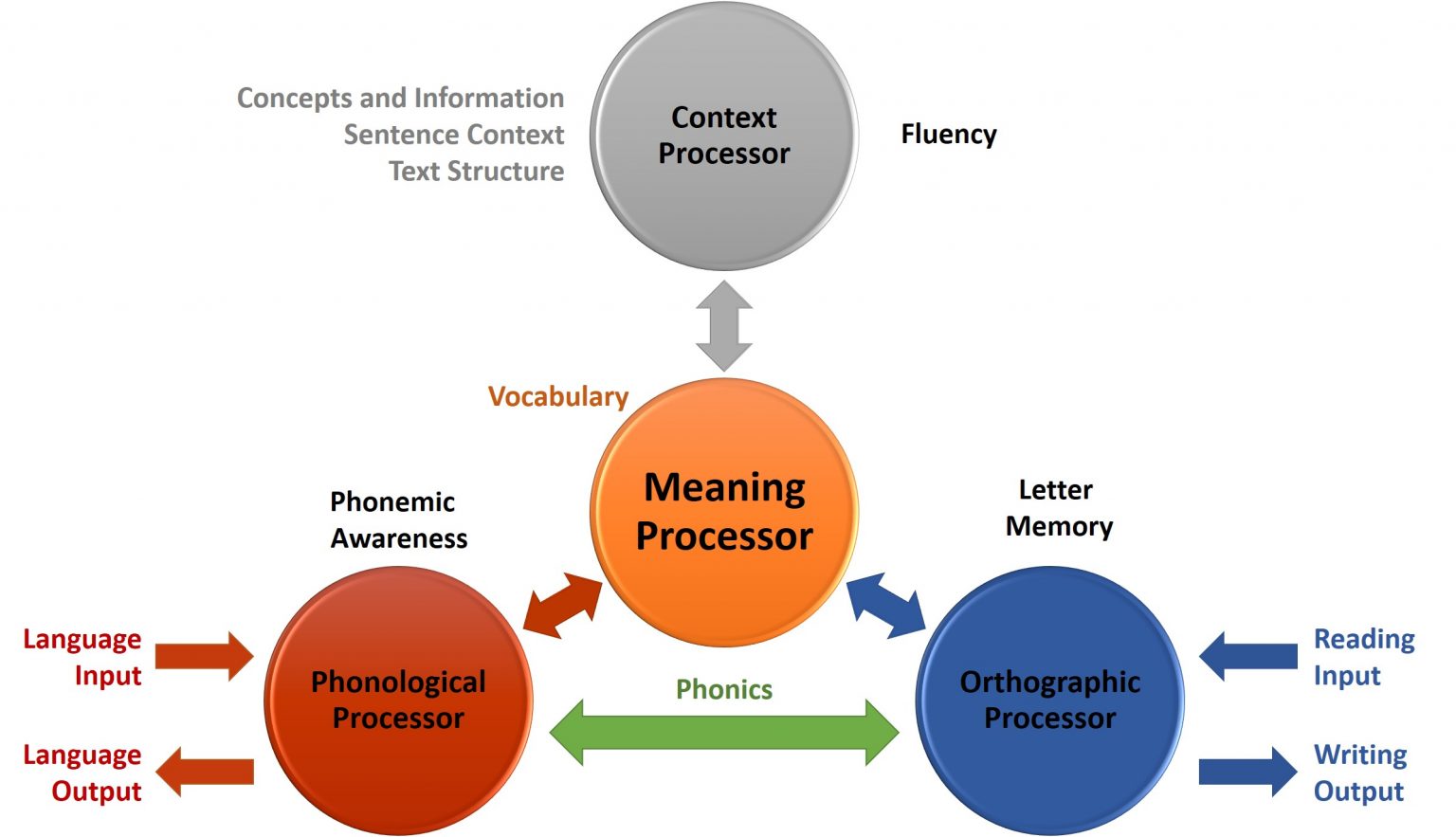 8.1 Reading Models – Psychology of Language