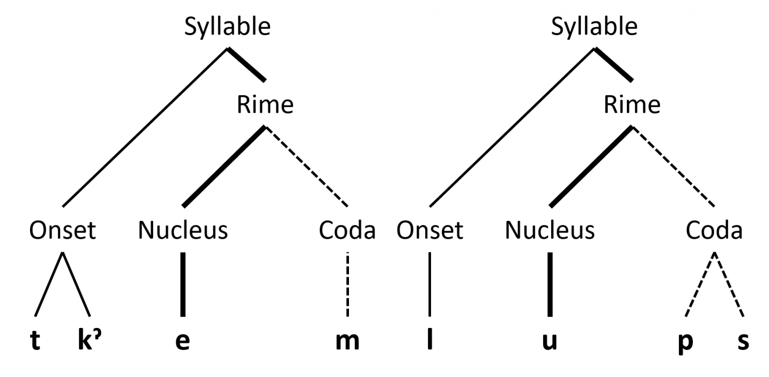 2.5 Syllables Psychology of Language