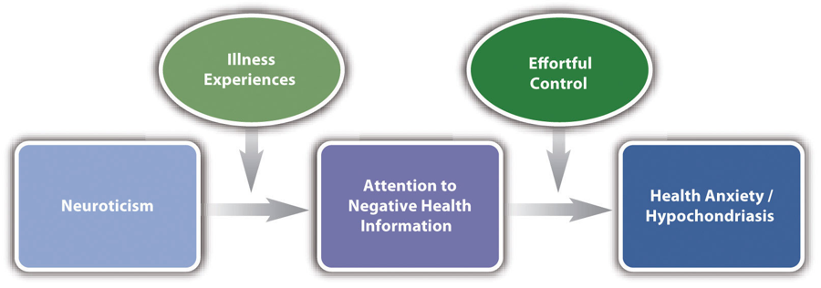 Figure 4.3 Simplified Representation of One Contemporary Theory of Hypochondriasis This theory focuses on key variables and the relationships among them.