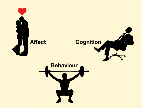 Human beings rely on the three capacities of affect, behavior, and cognition, which work together to help them create successful social interactions.