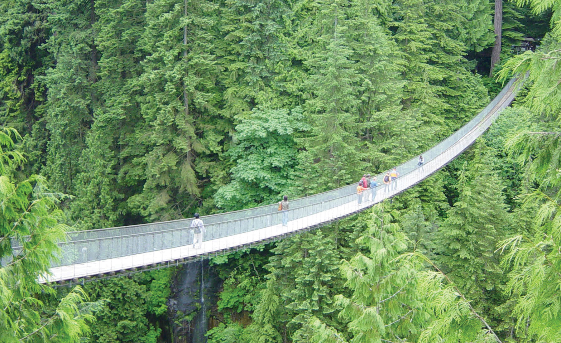 Figure 7.7 Arousal caused by the height of this bridge was misattributed as attraction by the men who were interviewed by an attractive woman as they crossed the bridge (http://wikimediafoundation.org/wiki/File:CapilanoBridge.jpg) by Leonard G (http://en.wikipedia.org/wiki/User:Leonard_G.)under CC SA (http://creativecommons.org/licenses/sa/1.0/)