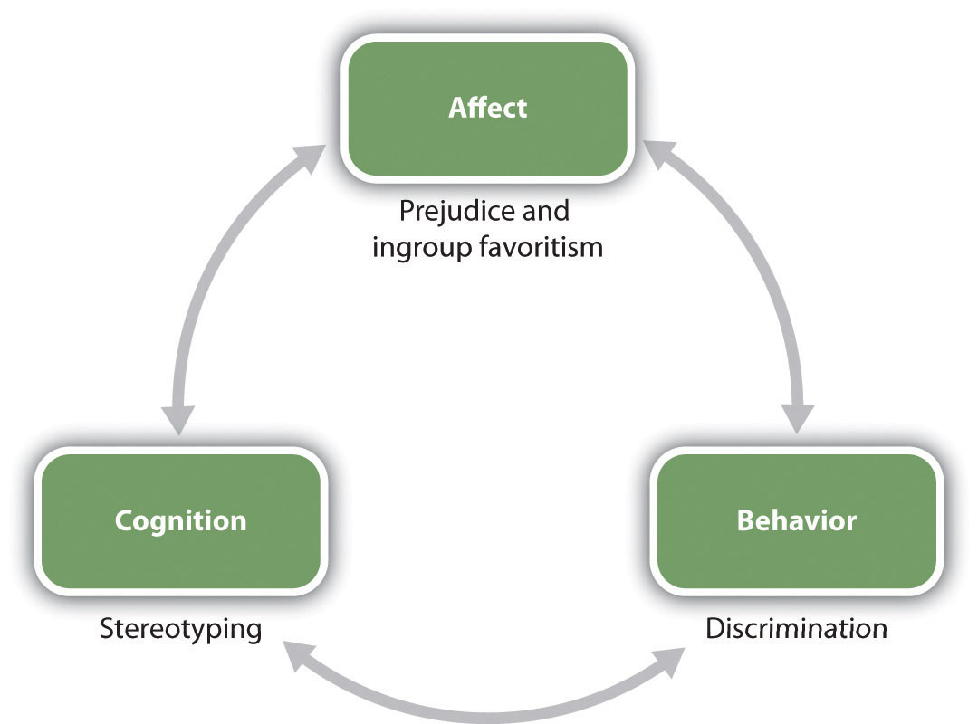 Chapter 11 Stereotypes Prejudice And Discrimination Principles Of 