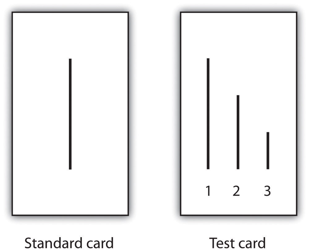 standard card has 1 line, test card has 3 lines of different lengths
