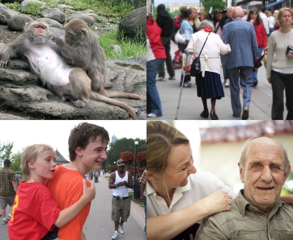 a collage of pictures of people and monkeys socializing with each other