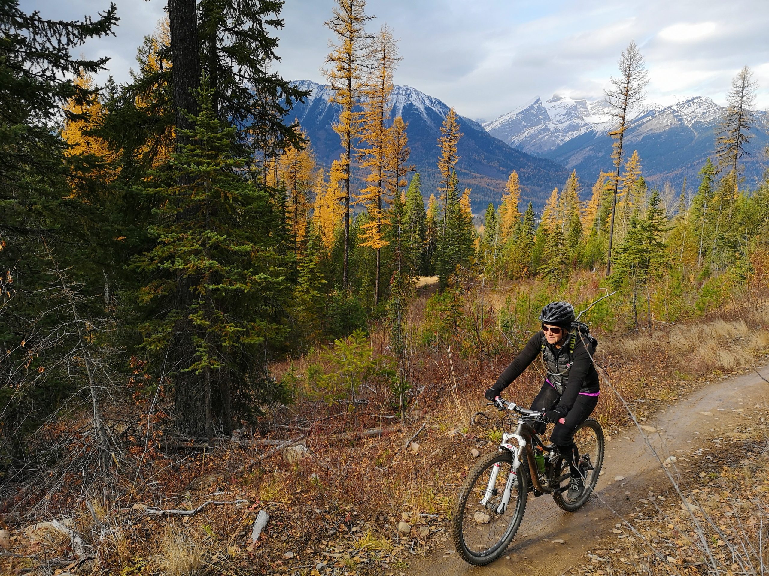 A woman mountain biking in the fall in forest with mountain range behind