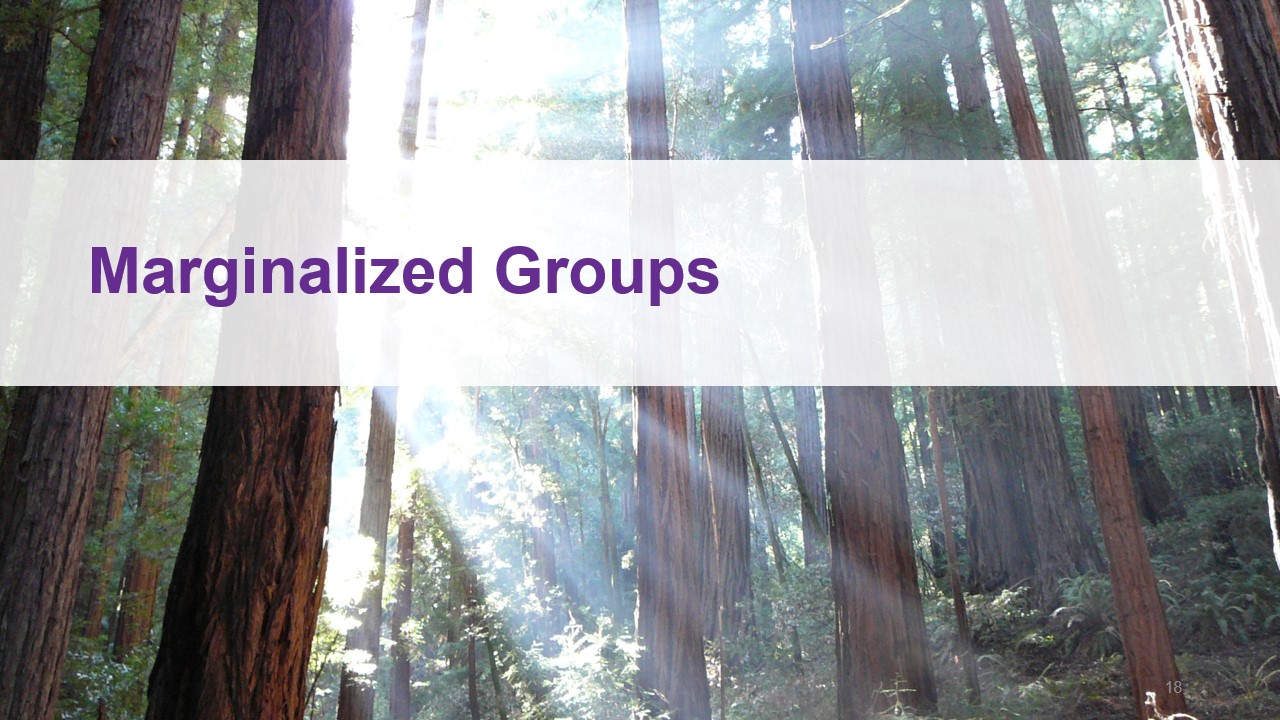 slide: marginalized group