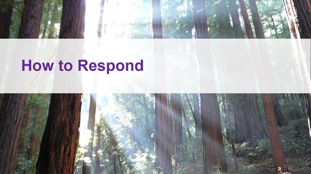 slide: how to respond