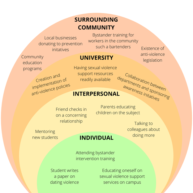 The social-ecological approach to health promotion and sexual violence prevention focuses on the interaction between the individual, relationship, community, and societal factors. It allows us to consider factors that concern not only individual but also consider structural, environmental, social factors that influence harm-doers, survivors, and bystanders in the prevention of sexual violence.