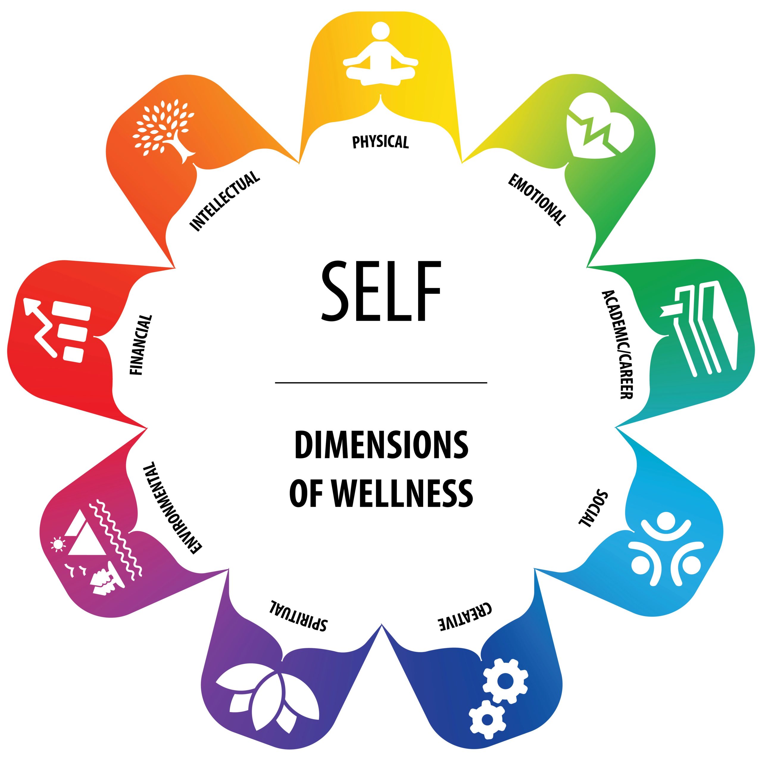 A wheel labelled with the 9 dimensions of self wellness.