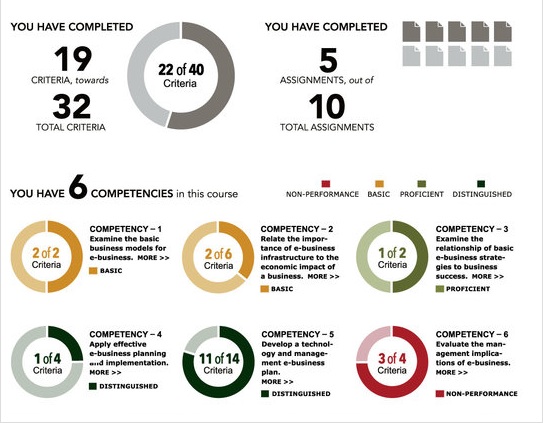 e-Commerce business course competencies, Capella University