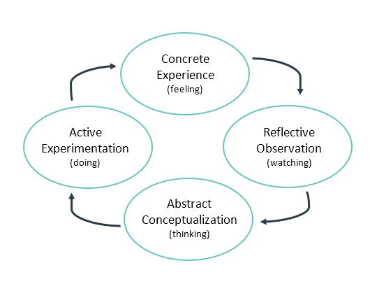 A circular flow chart of Kolb’s Experiential Learning Cycle. Described in previous paragraph.
